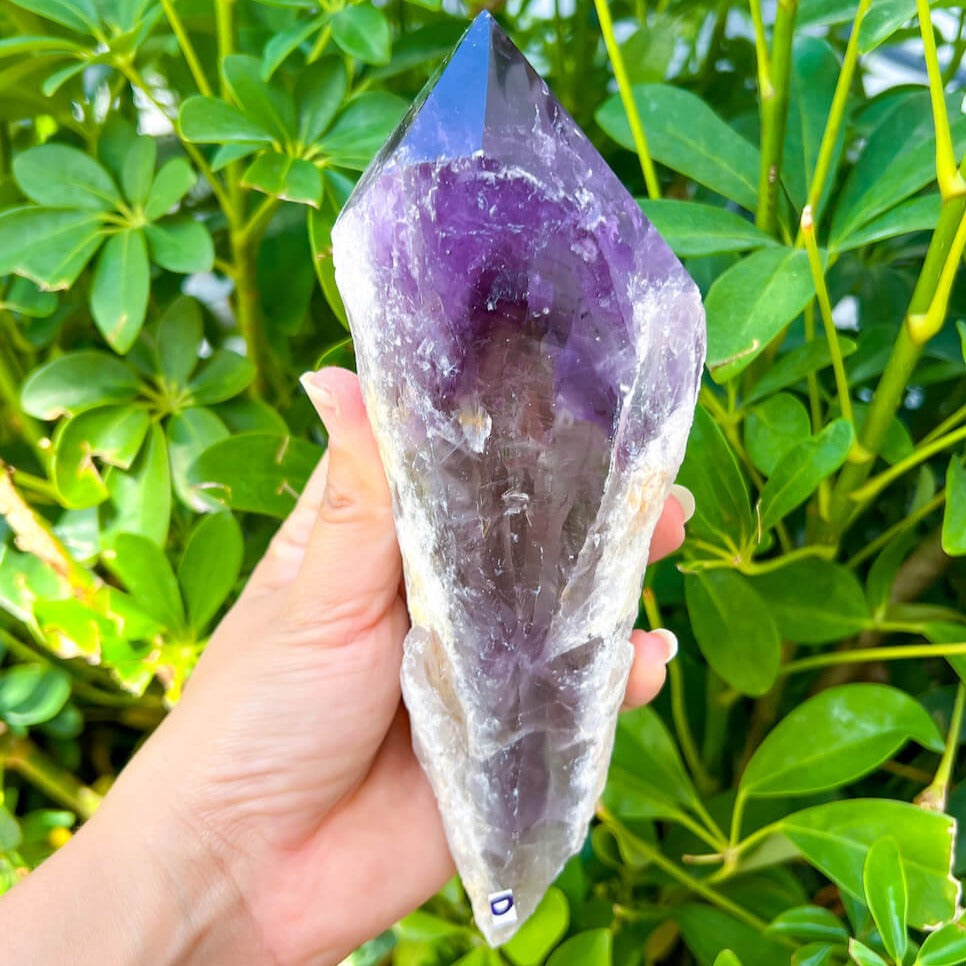 Dragons Tooth - Huge selling raw amethyst crystal Necklace