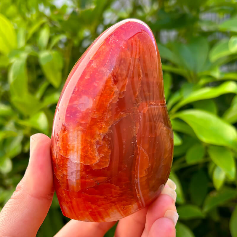 Large carnelian freeform on sale