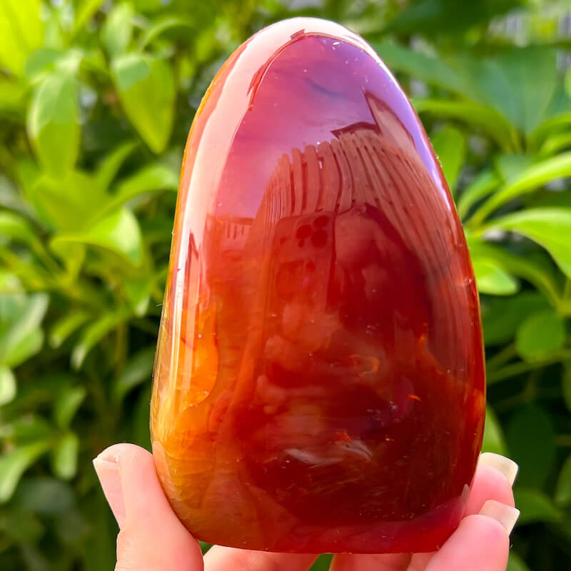 Large deals carnelian freeform