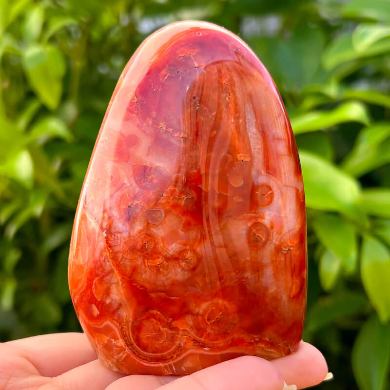 Fabulous pair of cheapest carnelian free forms crystal red rock