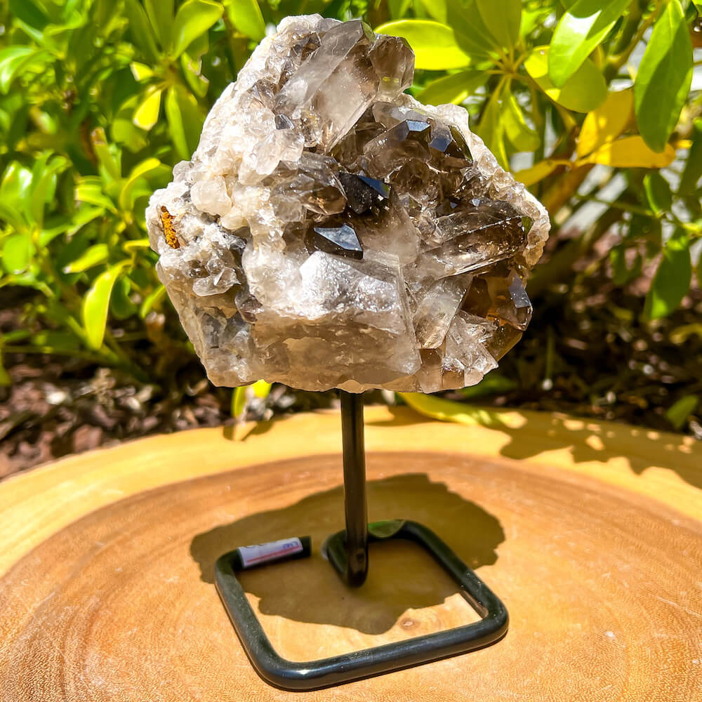 Smoky Quartz Cluster on Stand