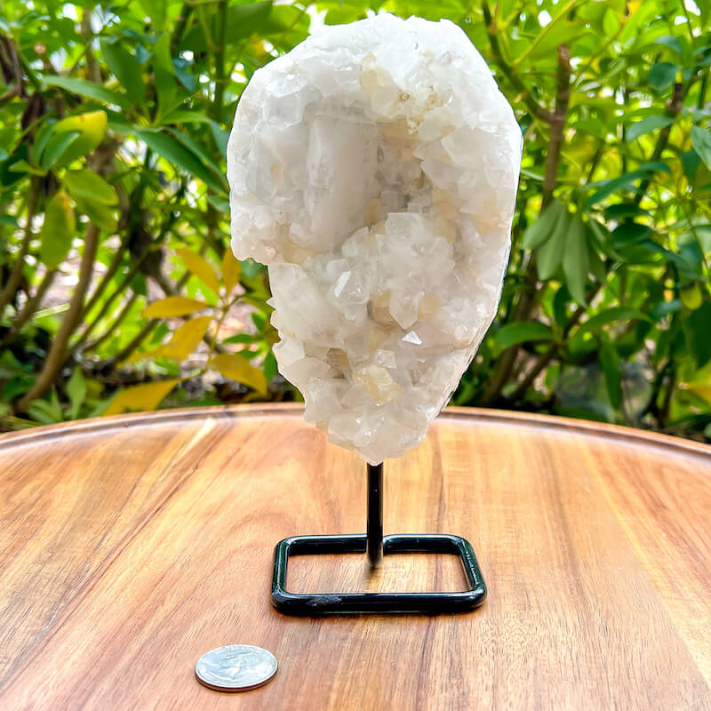 Apophyllite-Cluster-On-A-Stand. Apophyllite cluster, apophyllite geode, raw apophyllite, apophyllite free standing, apophyllite crystal with cut base, Rare Apophyllite Crystal Geode on a stand at MagicCrystals