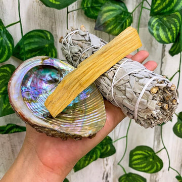 Kit Price: Abalone Shell Bowl, Palo Santo & White Sage Smudge