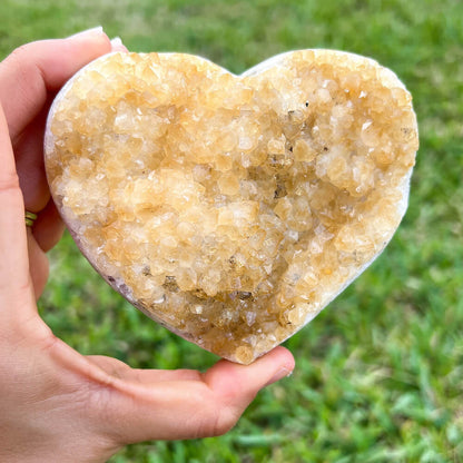 Citrine Druzy Heart Cluster. Citrine Crystal Cluster Heart Geode at Magic Crystals. Crystal Citrine Heart Cluster, Heart Citrine Crystal Cluster. Citrine Heart Druzy Crystal Cluster Geode Solar Plexus Stone Wealth Stone Citrine Crystal. Gemstone Carving Heart. FREE SHIPPING available.