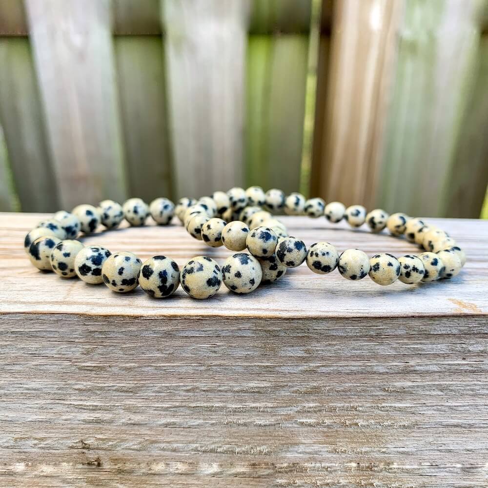 Dalmatian bracelet clearance