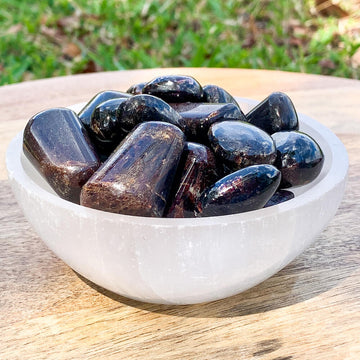 Garnet Tumbled Crystal Tumbled Red Garnet Stone Multiple Sizes Available  Polished Red Garnet Gemstones Red Root Chakra Crystal 