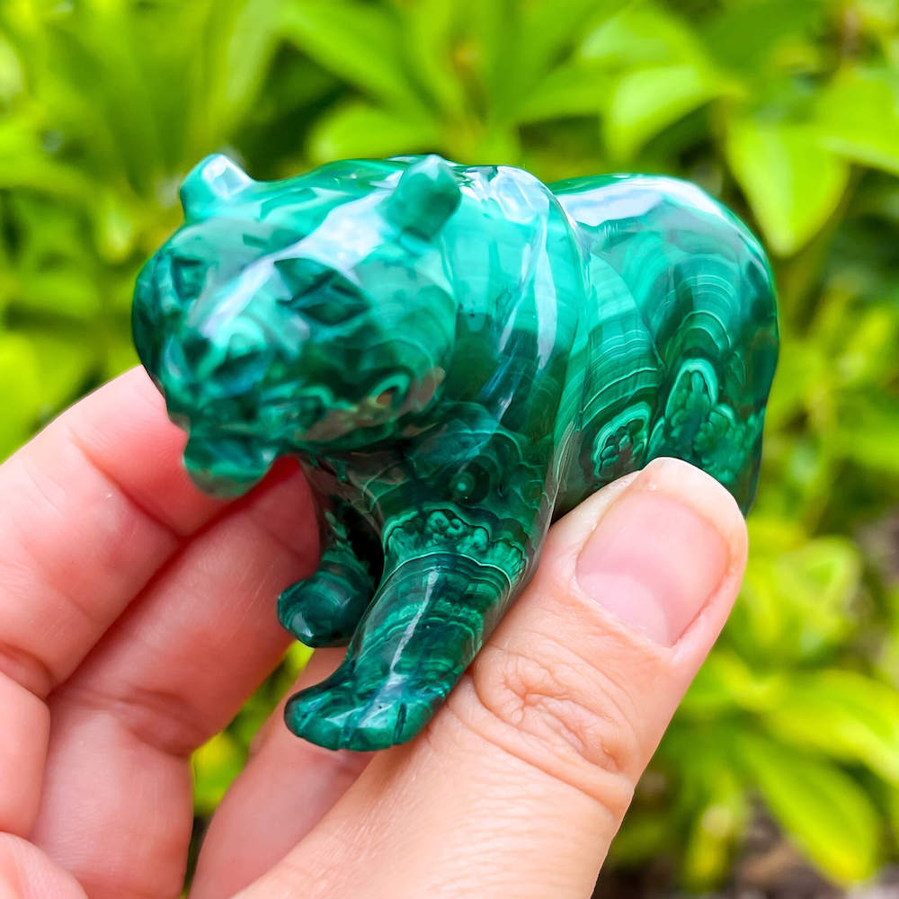 Malachite Carved Bear Crystal, Malachite A+ Quality Bear, Authentic buy Malachite