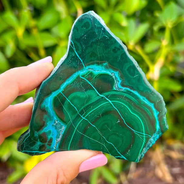 Malachite in good chrysocolla freeform (Firm❣️)