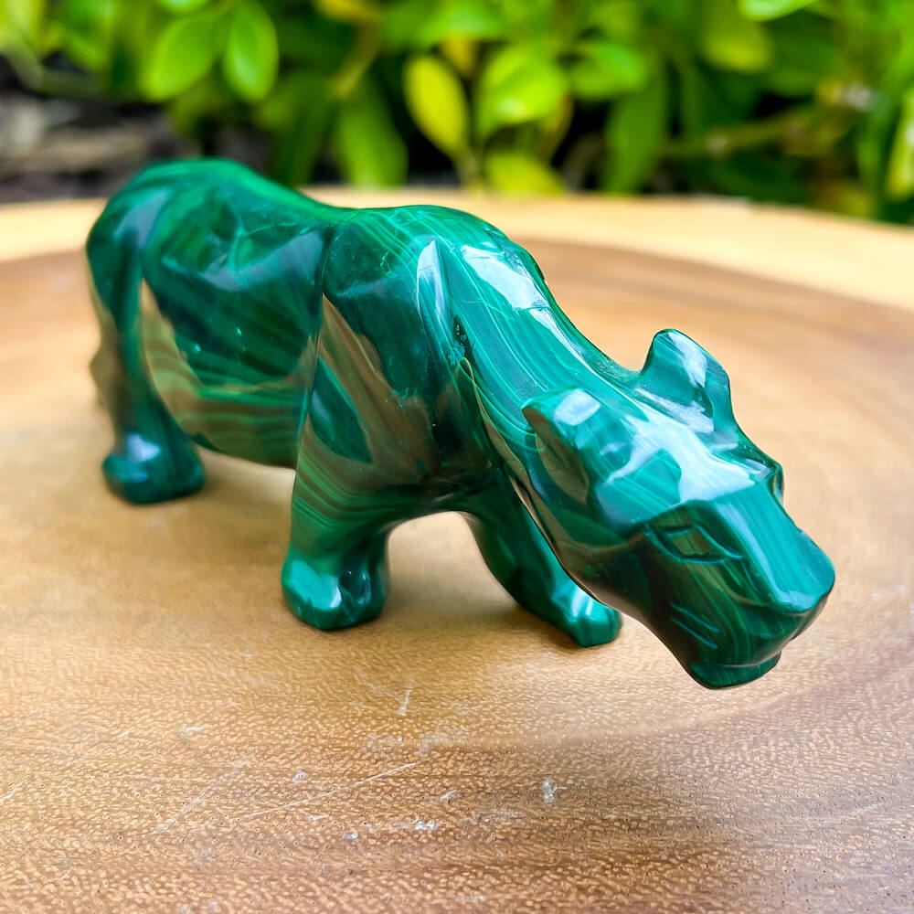 Genuine Malachite. Shop at Magic Crystals for Genuine Malachite Leopard Leopard  - Natural Malachite Leopard Carving from Congo. Malachite Animal, Gifts for Her, Gifts for Him, Crystal Gemstones, Home Decor. FREE SHIPPING AVAILABLE. Hand Carved Malachite Stone Cougar Leopard, Home Decor, Crystal Healing.