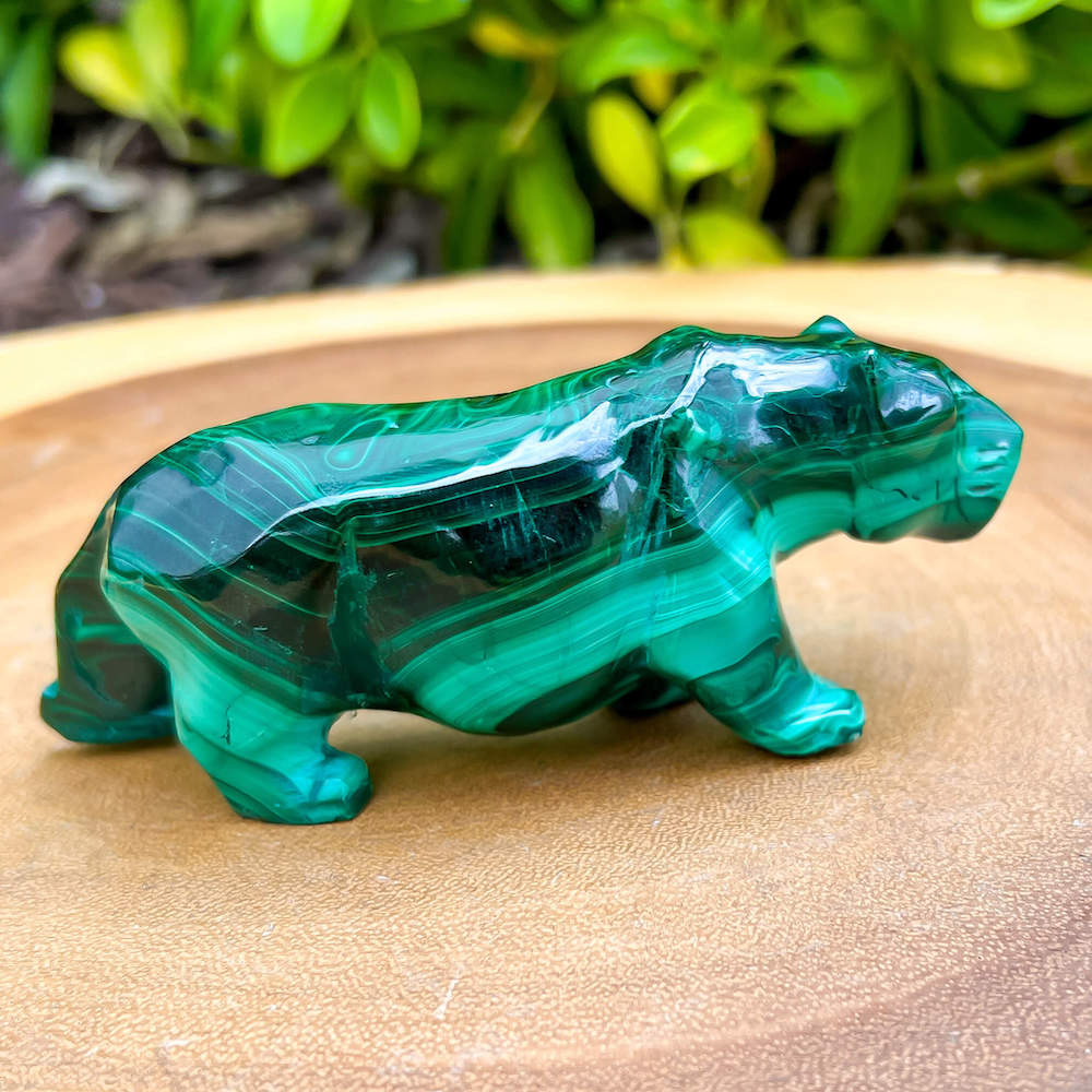 Genuine Malachite. Shop at Magic Crystals for Genuine Malachite Leopard Leopard  - Natural Malachite Leopard Carving from Congo. Malachite Animal, Gifts for Her, Gifts for Him, Crystal Gemstones, Home Decor. FREE SHIPPING AVAILABLE. Hand Carved Malachite Stone Cougar Leopard, Home Decor, Crystal Healing.