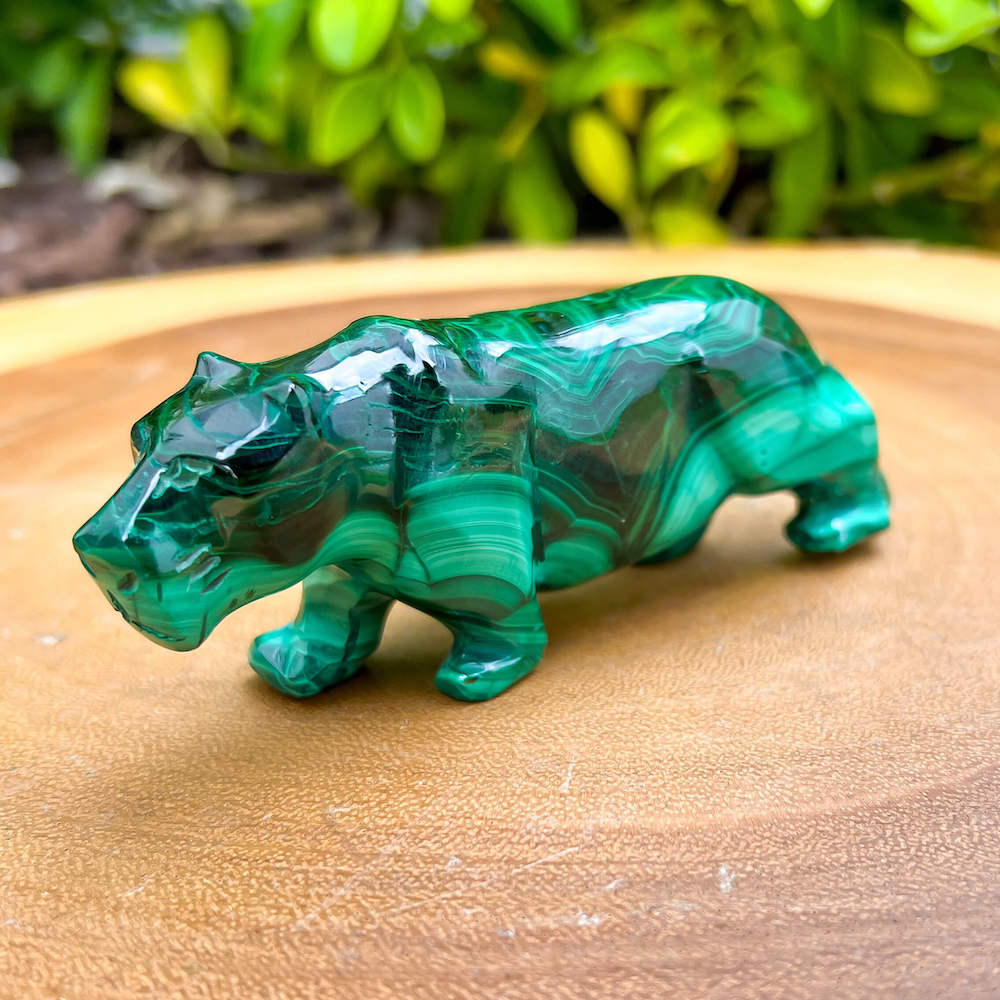 Genuine Malachite. Shop at Magic Crystals for Genuine Malachite Leopard Leopard  - Natural Malachite Leopard Carving from Congo. Malachite Animal, Gifts for Her, Gifts for Him, Crystal Gemstones, Home Decor. FREE SHIPPING AVAILABLE. Hand Carved Malachite Stone Cougar Leopard, Home Decor, Crystal Healing.