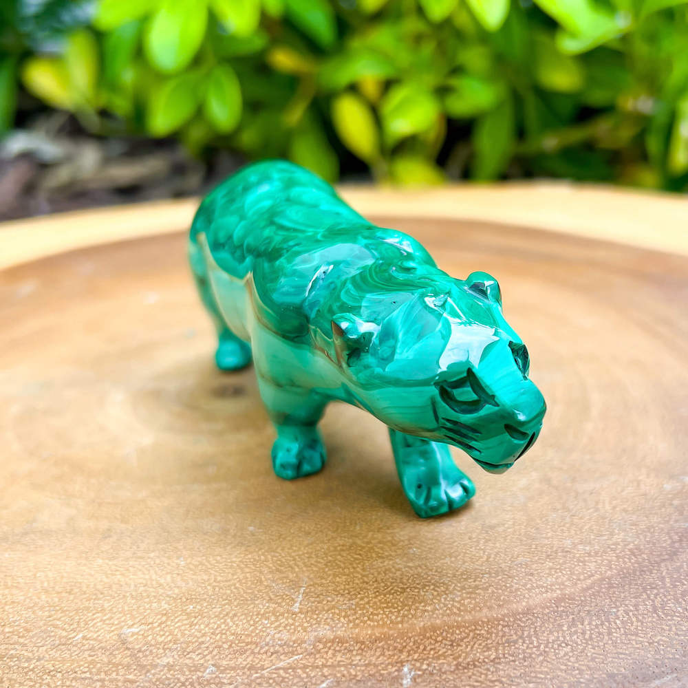 Genuine Malachite. Shop at Magic Crystals for Genuine Malachite Leopard Leopard  - Natural Malachite Leopard Carving from Congo. Malachite Animal, Gifts for Her, Gifts for Him, Crystal Gemstones, Home Decor. FREE SHIPPING AVAILABLE. Hand Carved Malachite Stone Cougar Leopard, Home Decor, Crystal Healing.