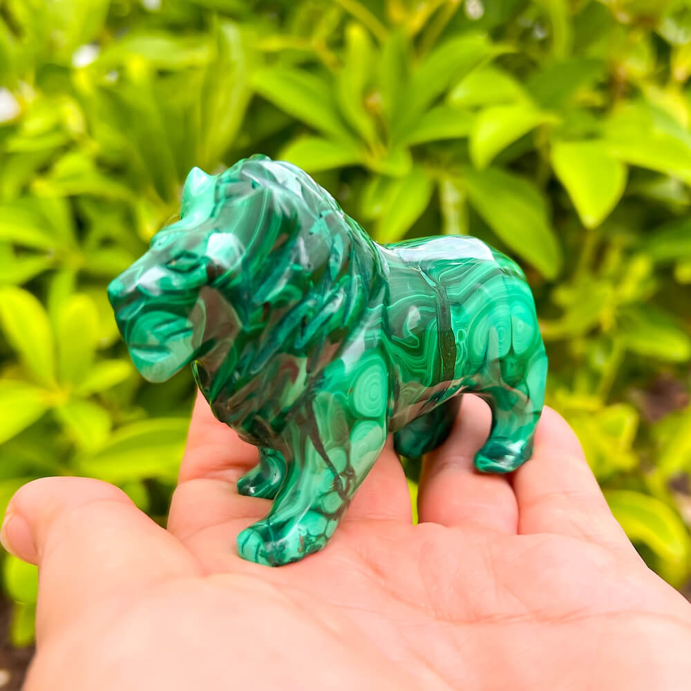 Malachite Carved Lion Crystal, hotsell Malachite A+ Quality Lion, Authentic Malachite