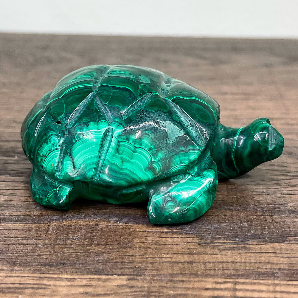 Genuine Malachite Turtle - Natural Malachite Animal - Magic Crystals