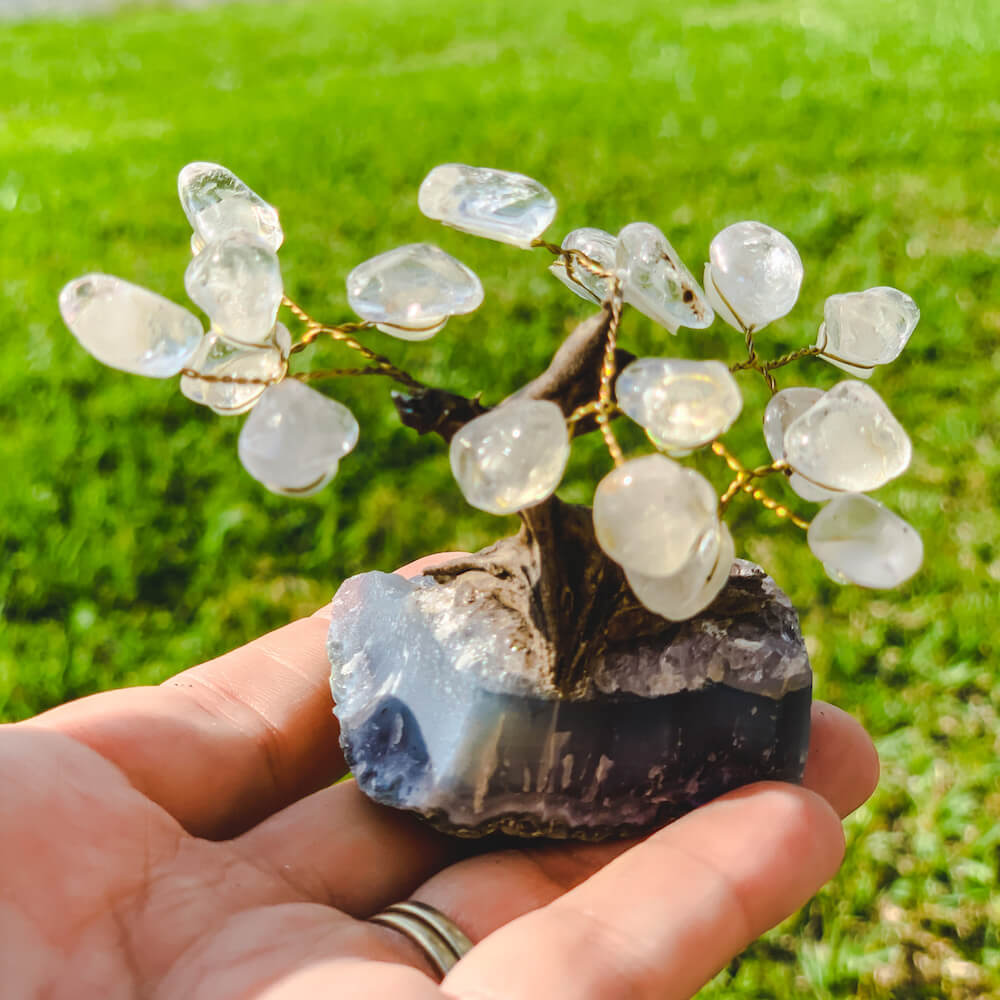 Crystal bonsai tree hot