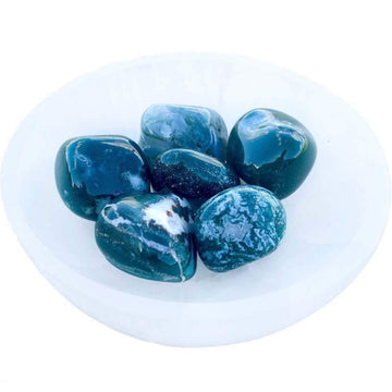 Moss Agate Tumbled Stones - Healing Crystals - MAGIC CRYSTALS – Magic  Crystals