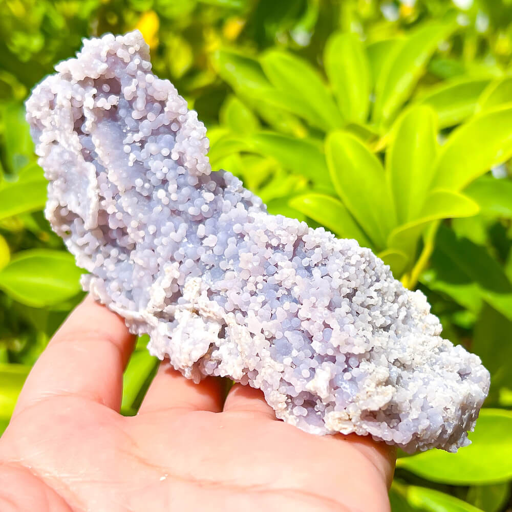 Natural Grape Agate Chalcedony Specimen - 162 hot Gram , 105*68 mm