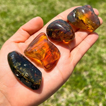 Amber With Insects Home Decoration, Large Oval Amber Resin