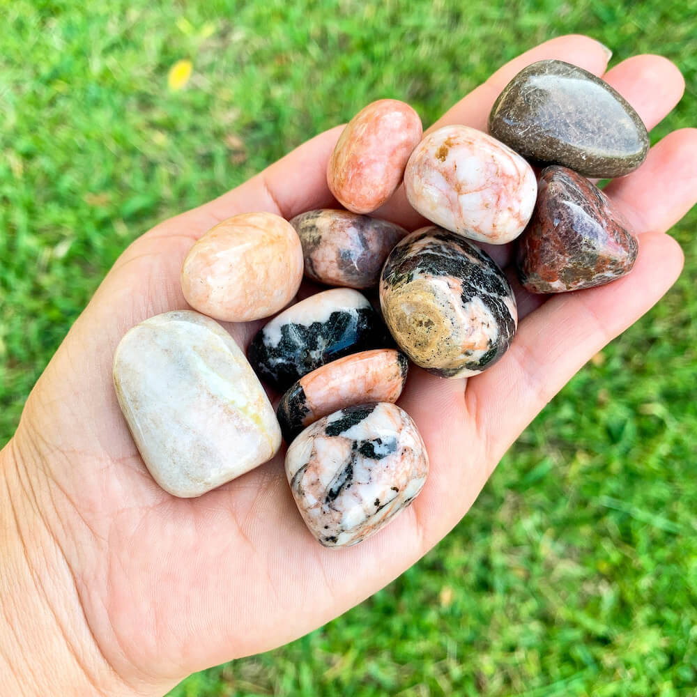 Zebra Jasper Dragon hotsell Head | Jasper | Pink Zebra Jasper | Zebra Jasper | Healing | Healing Crystals | Decor | Home Decor | Crystals | Crystal