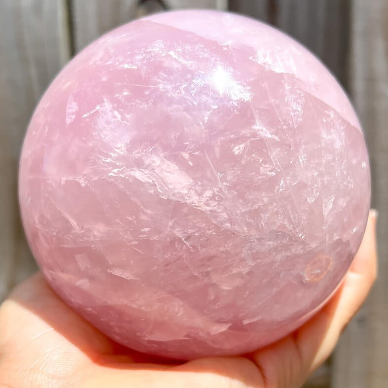 Looking for a Large rose quartz sphere? Shop at Magic Crystals for an incredibly pink natural rose quartz ball from Brazil. Large Rose Quartz Sphere - A. Crystal ball large crystal sphere. Large Rose Quartz Crystal Sphere, Polished Rose Quartz Sphere | Rose Quartz Specimen. FREE SHIPPING AVAILABLE.