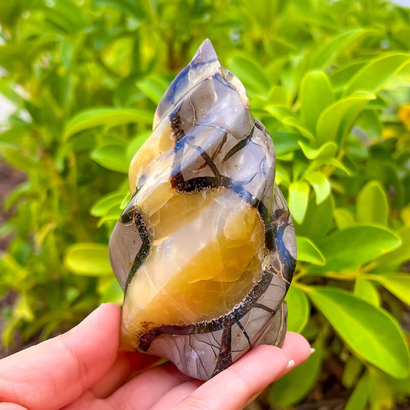 Good Septarian (Dragon Stone) and Black Onyx Pendant