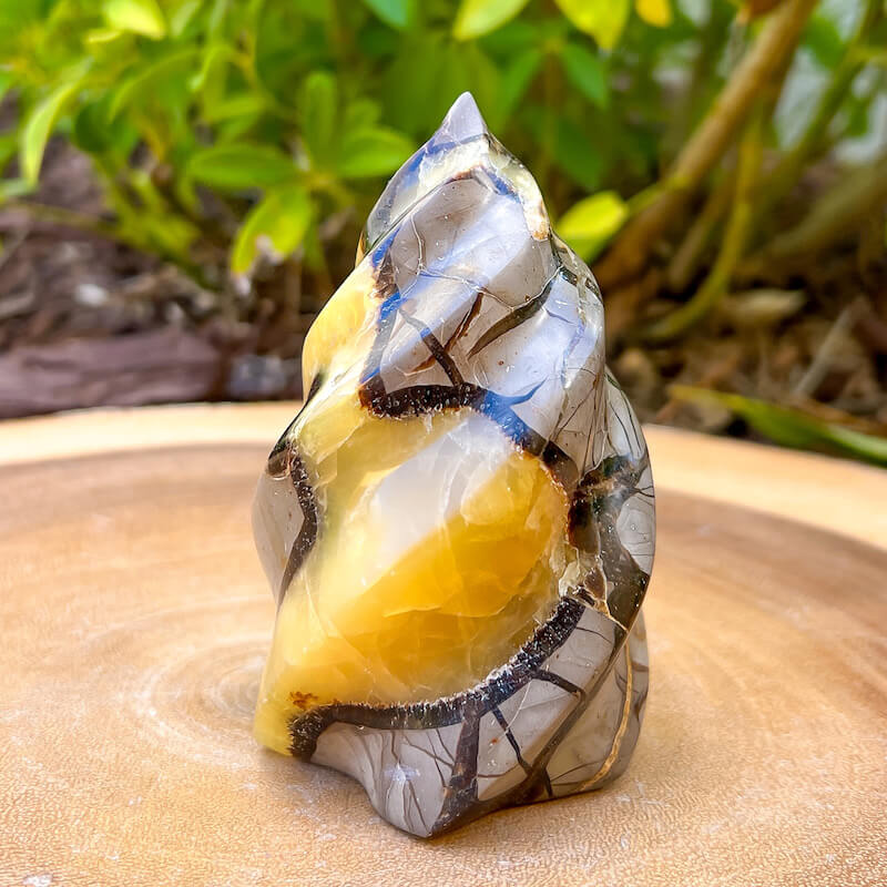 Dragon top Septarian Crystal Flame, Spiral #2