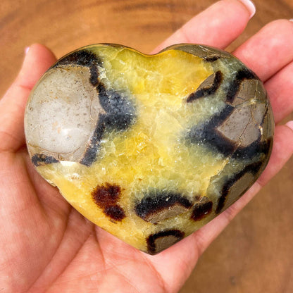 Looking for Septarian Dragon Stone Heart? Shop for Septarian Dragon Stone Heart - A, Septarian Dragon Stone Heart, Septarian Nodule Crystal Ball at Magic Crystals. UV Reactive Septarian Stone, Grounding Minerals. Septarian stone has a calming, nurturing energy, and can bring feelings of joy and spiritually uplifting.    Septarian-Dragon-Stone-Heart-A