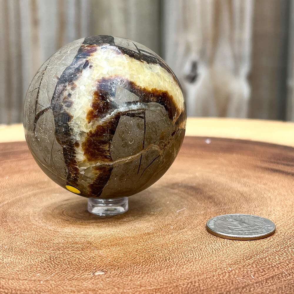 Large Natural Stone outlet Septarian Sphere