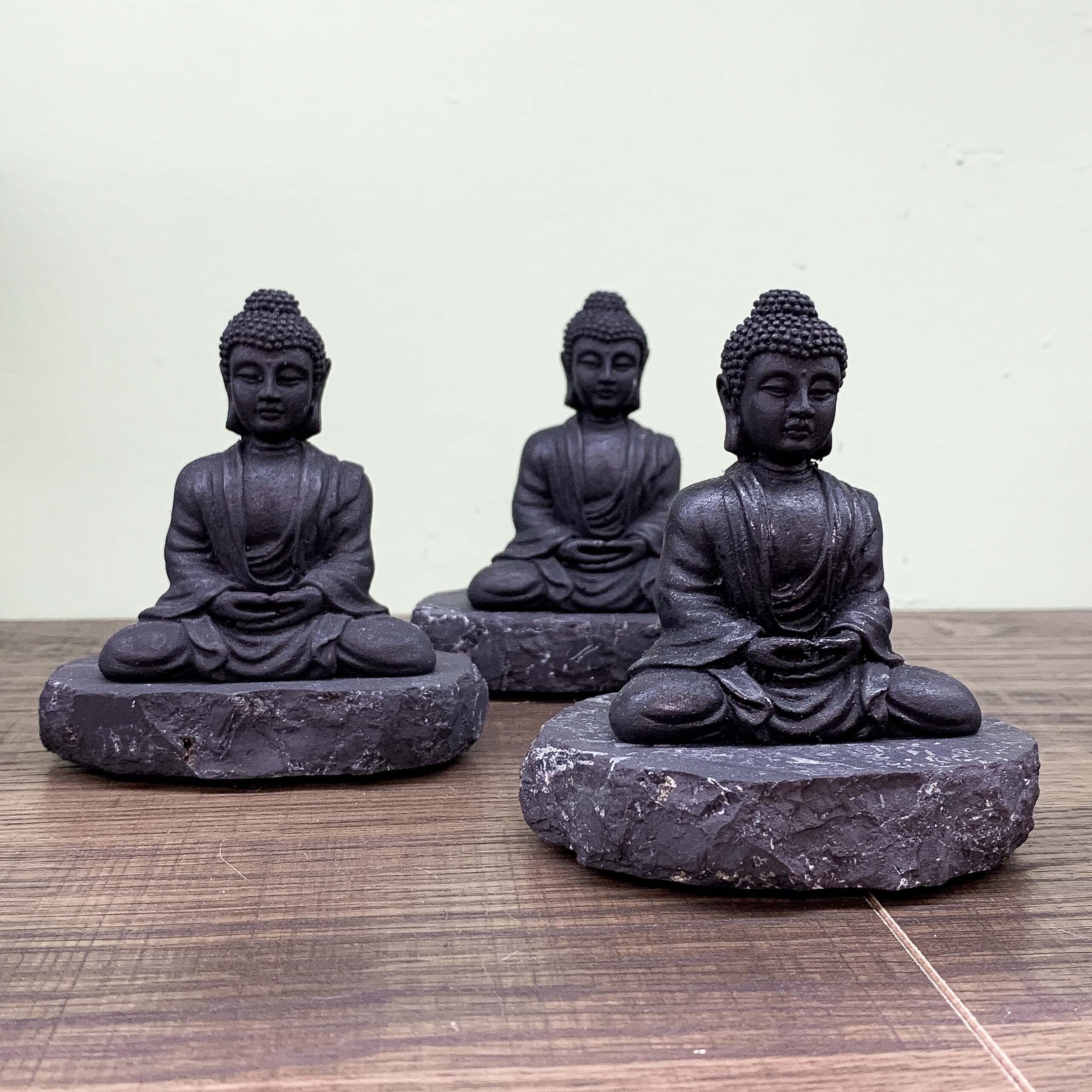 Shungite Budda newest