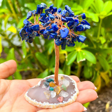 Wire Wrapped Crystal Tree Agate Base - Stone Tree - Magic Crystals