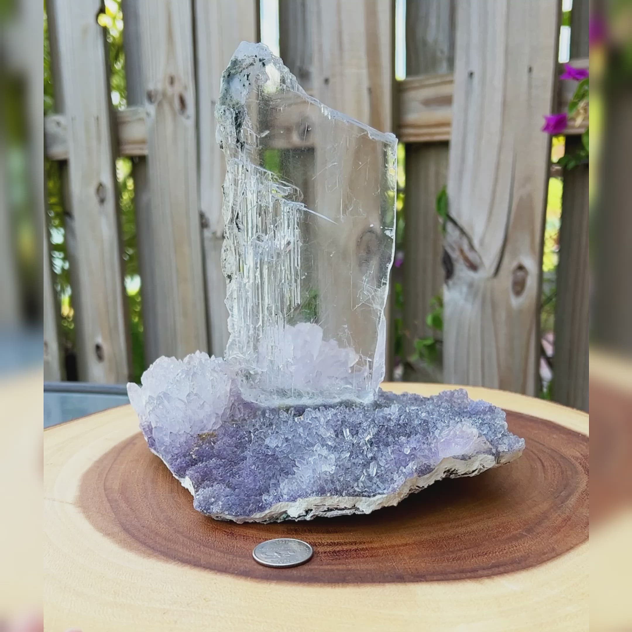 Amethyst outlets Flower w/ Gypsum - Crystal - Home Decor